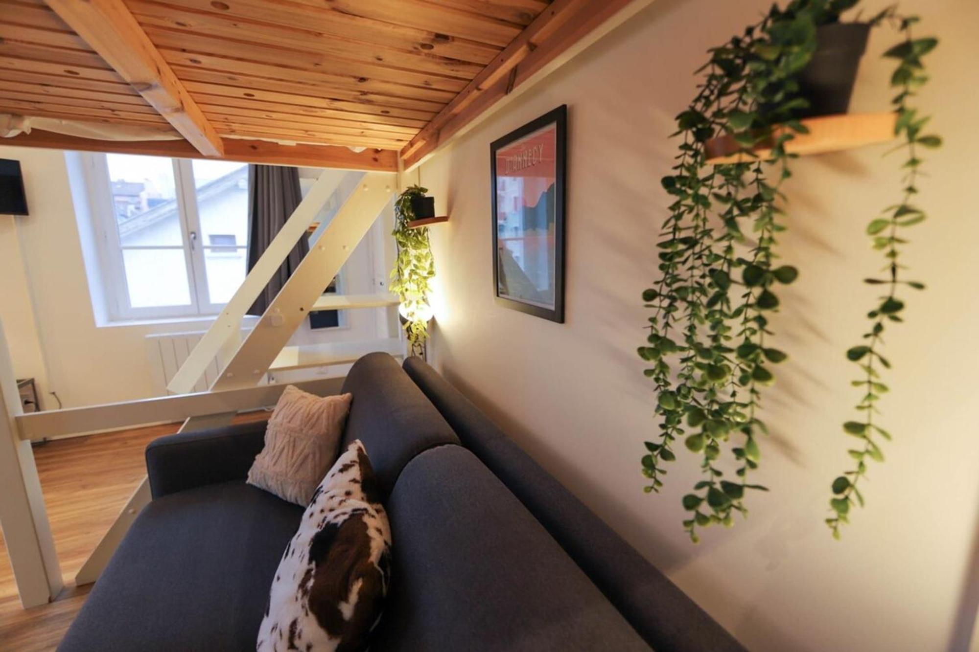 Апартаменты Le Petit Plus - Studio Confortable Avec Parking Анси Экстерьер фото